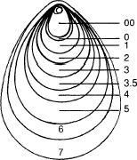 Colorado Blade Size Chart