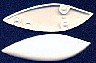 tn_rattleshad31_jpg.jpg (3766 bytes)
